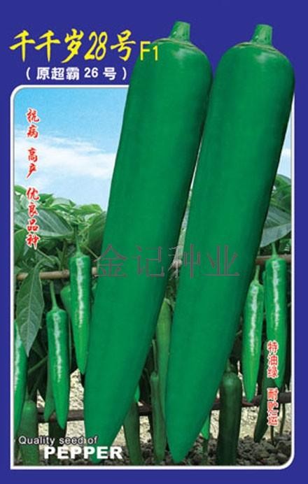 供应辣椒种子